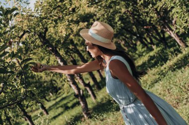 kadın malzeme çekme olgun elma