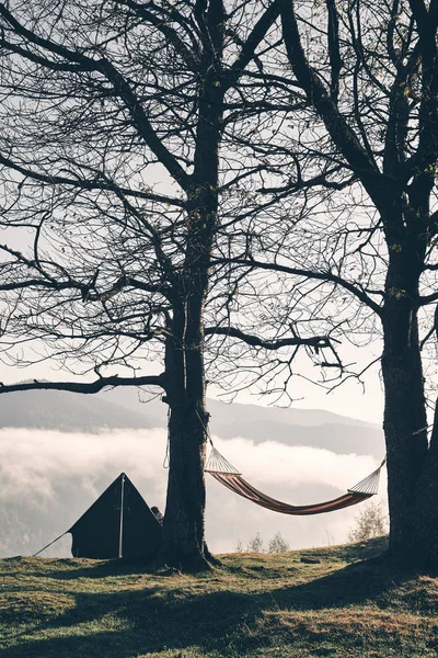 autumn camping in mountains, hanging hammock on trees