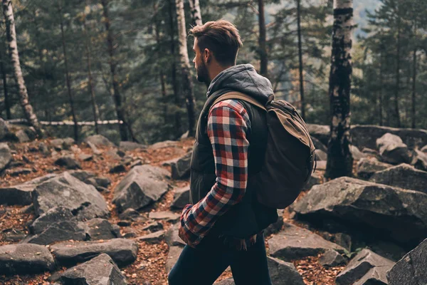 Mann Erkundet Schönheit Der Natur Beim Wandern Wald — Stockfoto