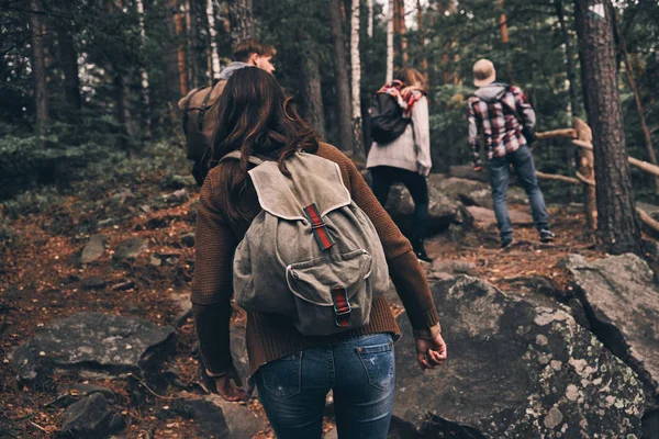 Вид Сзади Друзей Рюкзаками Двигающимися Вверх Время Похода Лесные Горы — стоковое фото