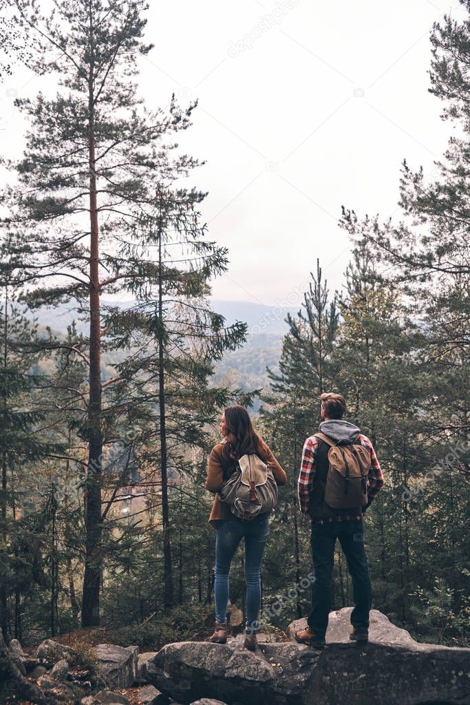 Rear view of couple with backpacks enjoying wild nature in forest