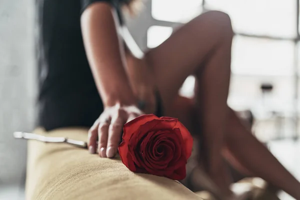 Close Woman Elegant Black Dress Holding Red Rose While Sitting — Stock Photo, Image