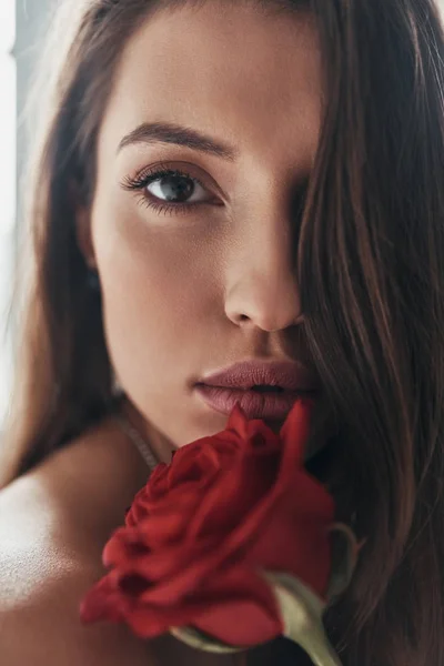 性感华丽的女子肖像与红玫瑰花 — 图库照片