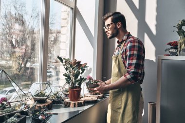 Çiçekçi adam evde küçük bahçede duran saksı bitkileri Bakımı önlük