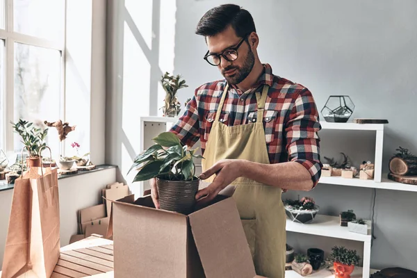 florist man in apron packing potted plant in carton container box while standing in small garden at home