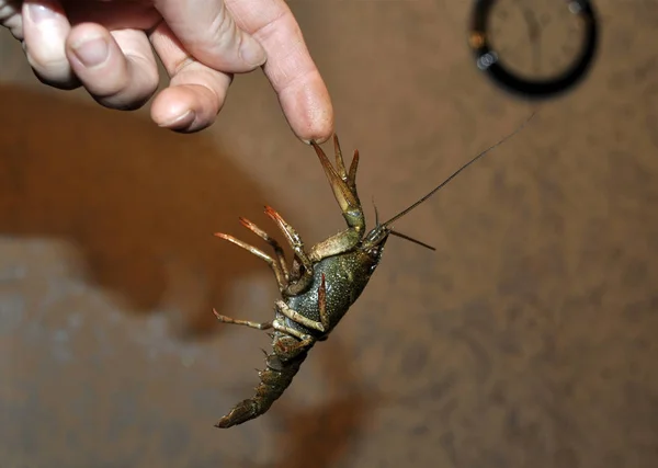Kanser nehri parmaklarına yapıştı.