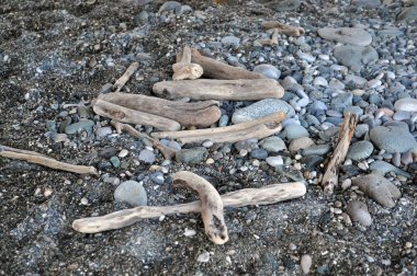 Karadeniz kıyısında deniz taşları ve sopalar