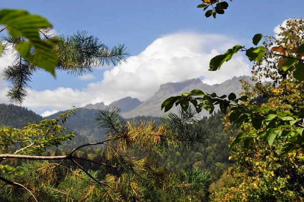 Landschaft Berg Platziert Bäume Den Bergen Berge Den Wolken — Stockfoto