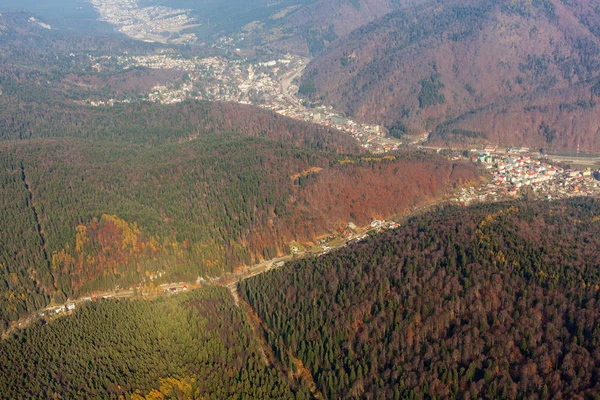 Foresta in autunno — Foto Stock