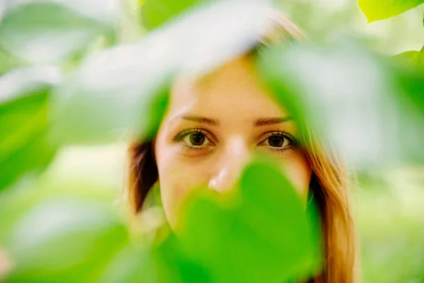 Blurry portrait of a beautiful woman\'s face hiding between green leaves . Focus on woman\'s eyes