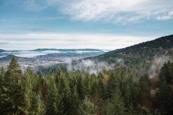 Área Natural de Thurston Hills Paisaje escénico — Foto de Stock