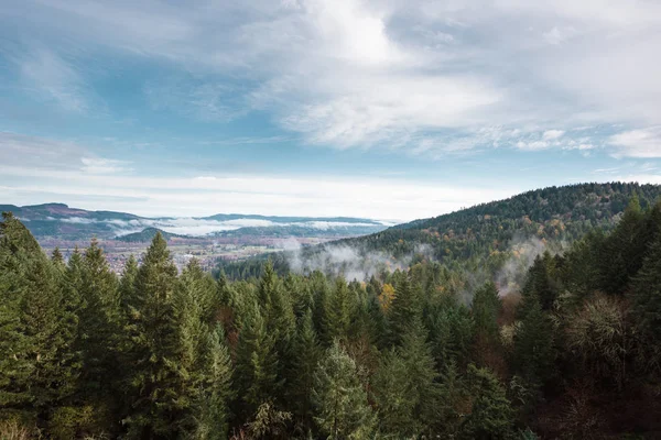 Thurston Hills natuurgebied schilderachtige landschap — Stockfoto