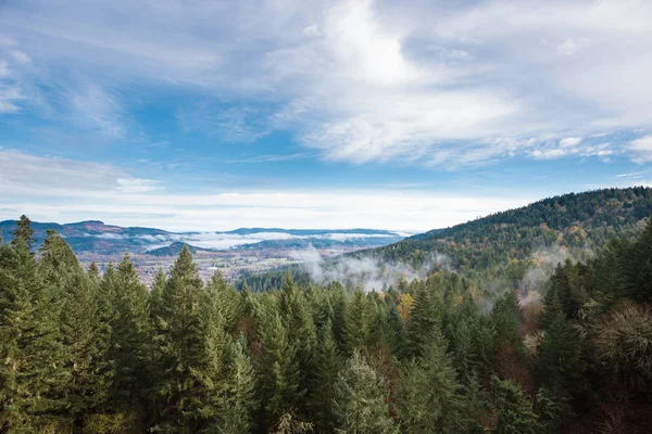 Thurston Hills natuurgebied schilderachtige landschap — Stockfoto