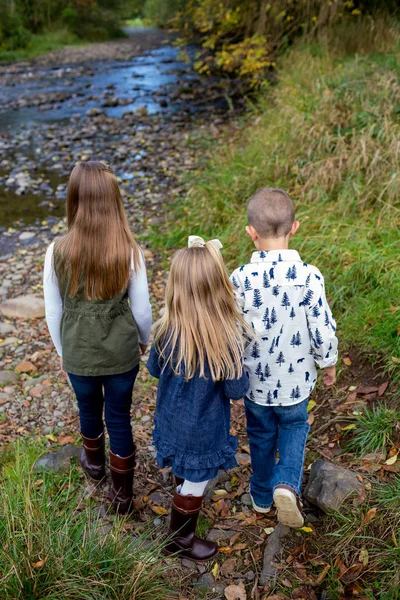 Broers en zussen samen Outdoors — Stockfoto