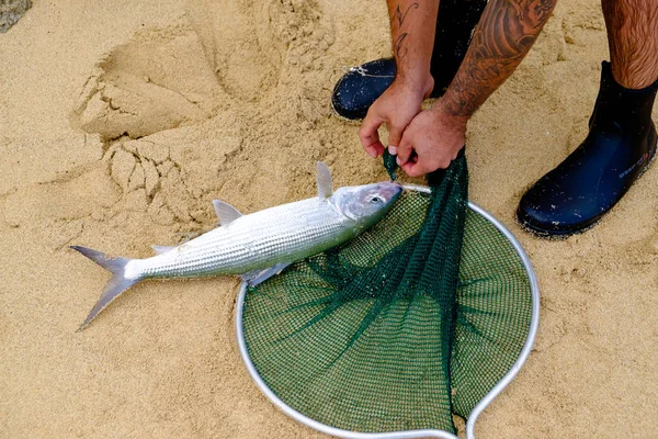 Oahu sportfishing turnier in hawaii — Stockfoto