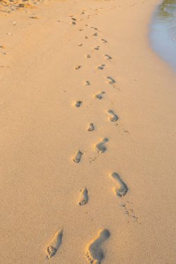 Hawaii plajda kuma ayak izi