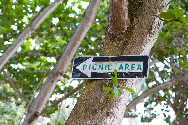 Picnic Area Sign on Tree in Oahu Hawaii — Stock Photo, Image