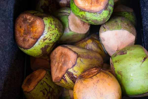 Is kallt kokosnötter på bondens marknad i Hawaii — Stockfoto