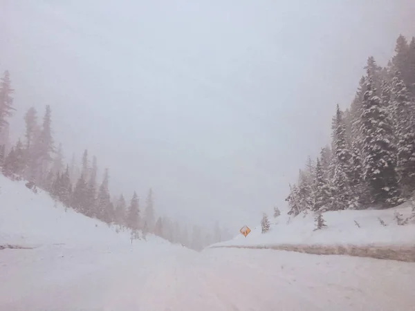 Inverno Tempo Snow Driving — Fotografia de Stock