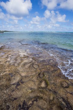 Laie Beach Oahu Hawaii