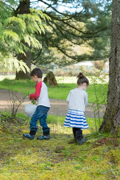 Easter Egg Hunt Outdoors in Oregon — Stock Photo, Image