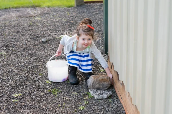 Easter Egg Hunt Outdoors in Oregon — Stock Photo, Image