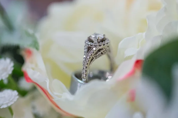 Alianças de casamento de noiva e noivo — Fotografia de Stock