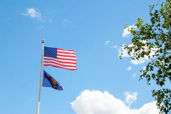 Amerika Birleşik Devletleri bayrağı ve Oregon — Stok fotoğraf