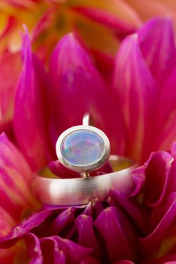 Çiçeklerdeki alyanslar