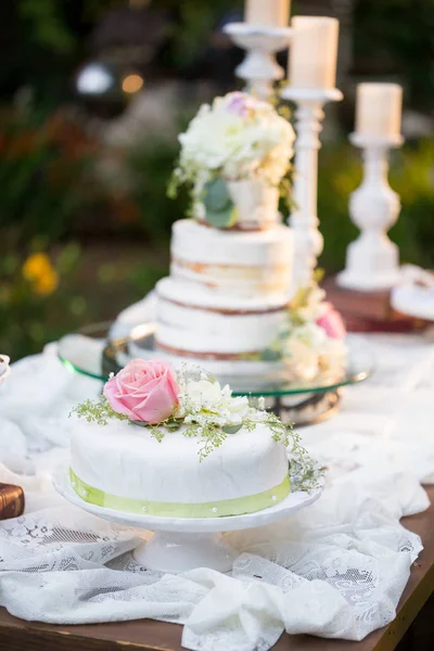 Bolo de casamento de corte na recepção — Fotografia de Stock