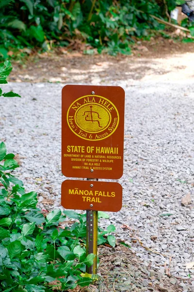 Sentiero delle Cascate di Manoa Escursione Oahu Hawaii — Foto Stock