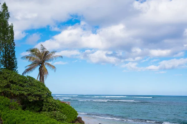 Praia Tropical do Paraíso Oahu Hawaii — Fotografia de Stock