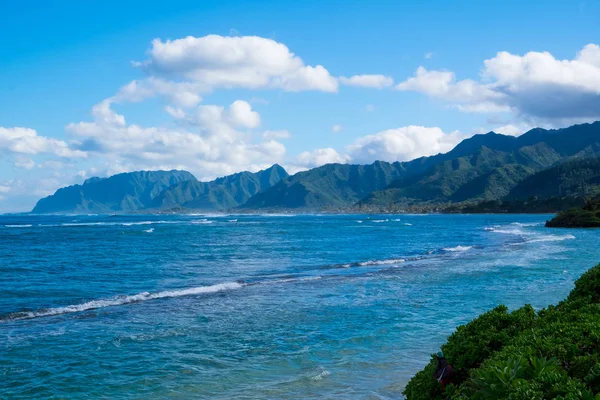 Praia Tropical do Paraíso Oahu Hawaii — Fotografia de Stock