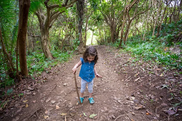 与儿童徒步旅行夏威夷瓦胡岛 — 图库照片