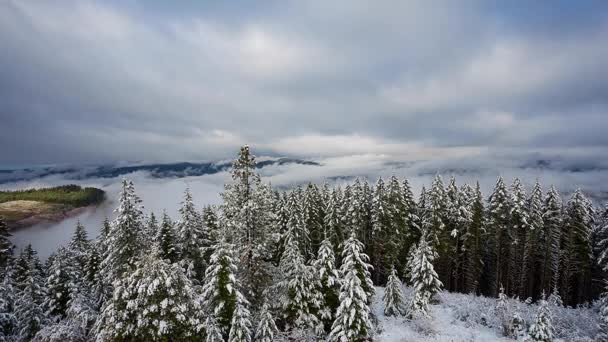 オレゴン州冬の天候 Hd タイムラプス ビデオ — ストック動画
