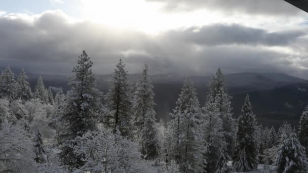 Зимнее видео погоды в Орегоне — стоковое видео