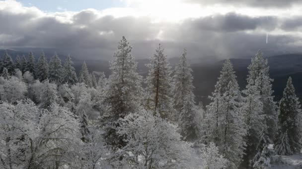 Oregon winterwetter hd video — Stockvideo