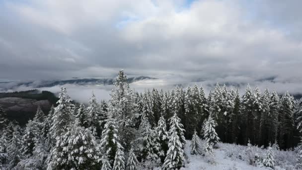 Oregon Inverno Tempo de Vídeo HD — Vídeo de Stock