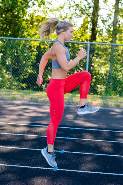 Yolda çalışma dışarı genç kadın atlet