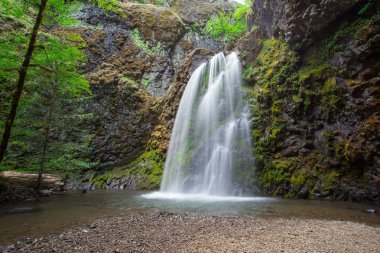 Güz Creek Falls Oregon yakınındaki kuzey Umpqua