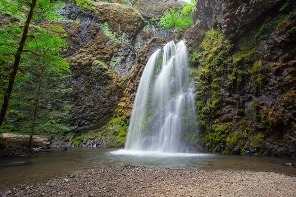 Fall Creek Falls in Oregon Near North Umpqua — Stock Photo, Image