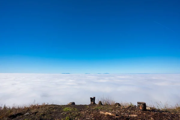 Por encima de las nubes en Coburg Hills de Oregon —  Fotos de Stock