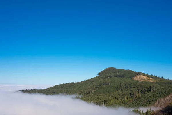 Над облаками в Кобург-Хиллз Орегон — стоковое фото