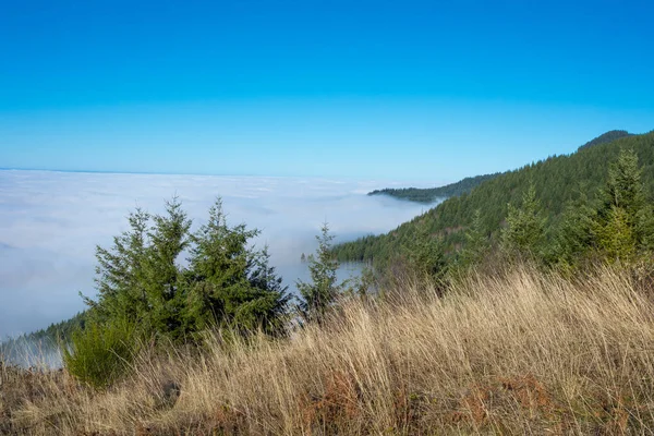 Boven de wolken in Coburg heuvels van Oregon — Stockfoto
