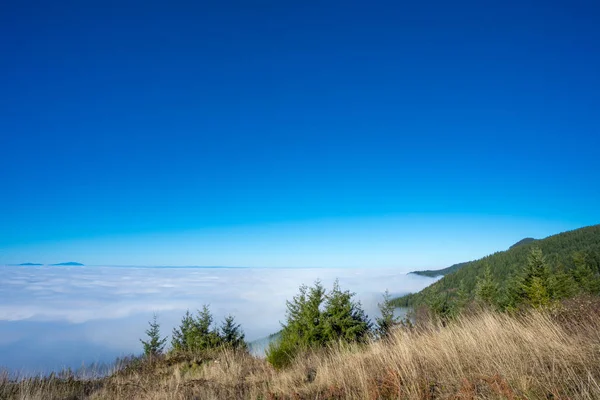 Por encima de las nubes en Coburg Hills de Oregon —  Fotos de Stock