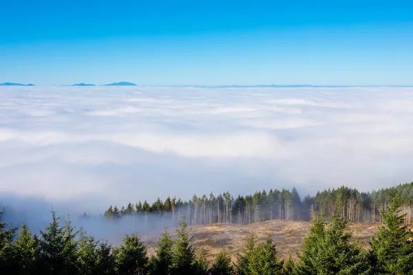 Por encima de las nubes en Coburg Hills de Oregon —  Fotos de Stock