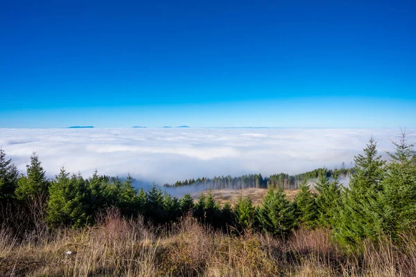 Por encima de las nubes en Coburg Hills de Oregon —  Fotos de Stock