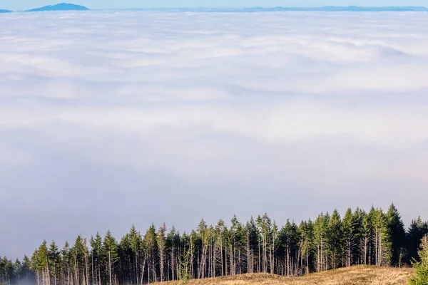 Por encima de las nubes en Coburg Hills de Oregon — Foto de Stock