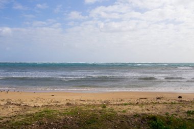 Oahu Hawaii Orsa Side Beach
