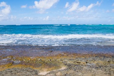 Kaplumbağa Bay Pacific Ocean Beach